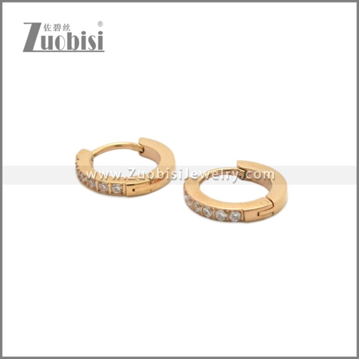 Stainless Steel Earring e002245R