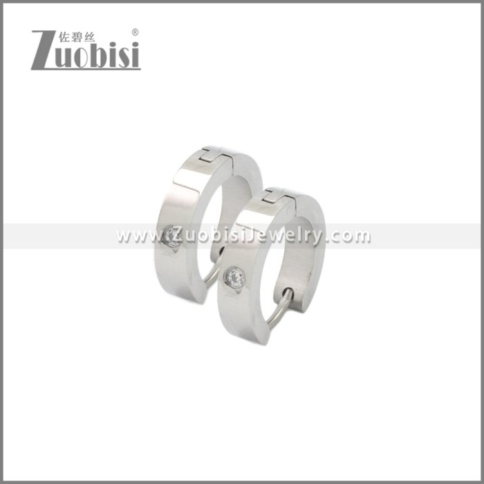 Stainless Steel Earring e002244S