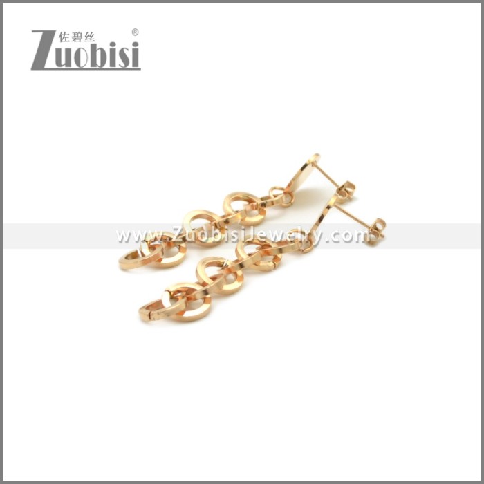 Stainless Steel Earring e002242R
