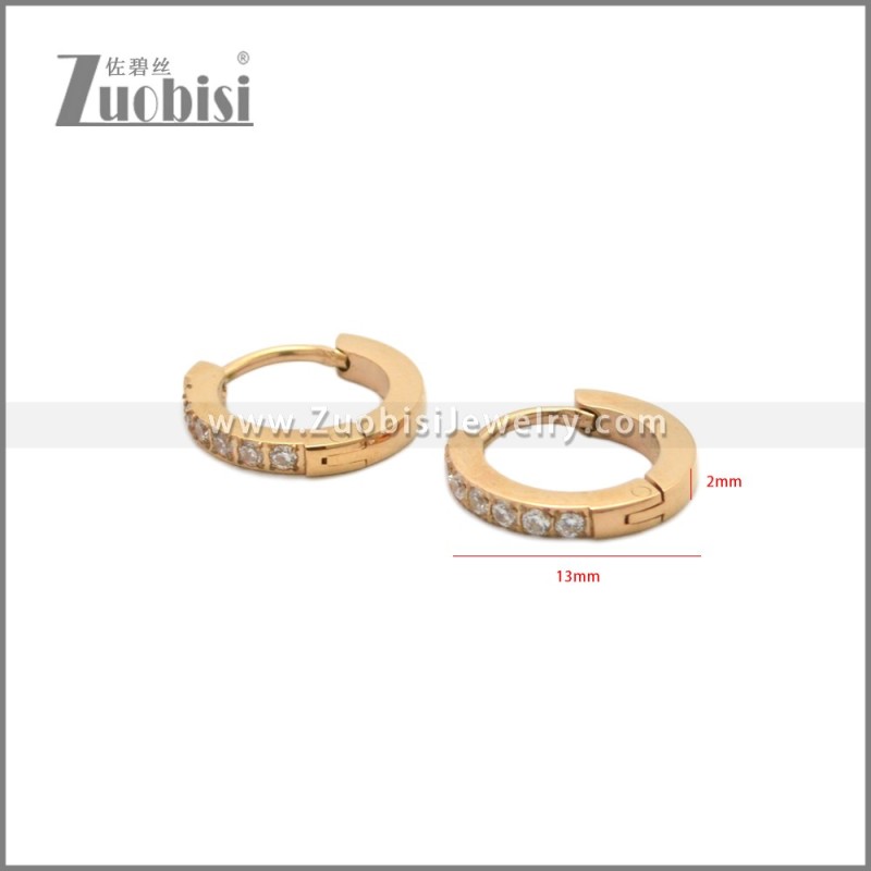 Stainless Steel Earring e002245R