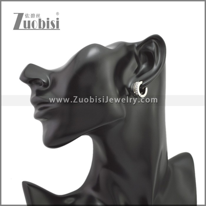 Stainless Steel Earring e002246S