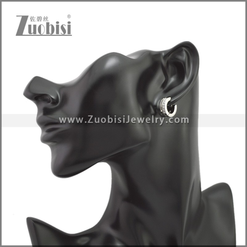 Stainless Steel Earring e002246S