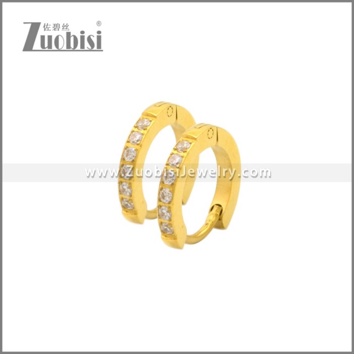 Stainless Steel Earring e002245G