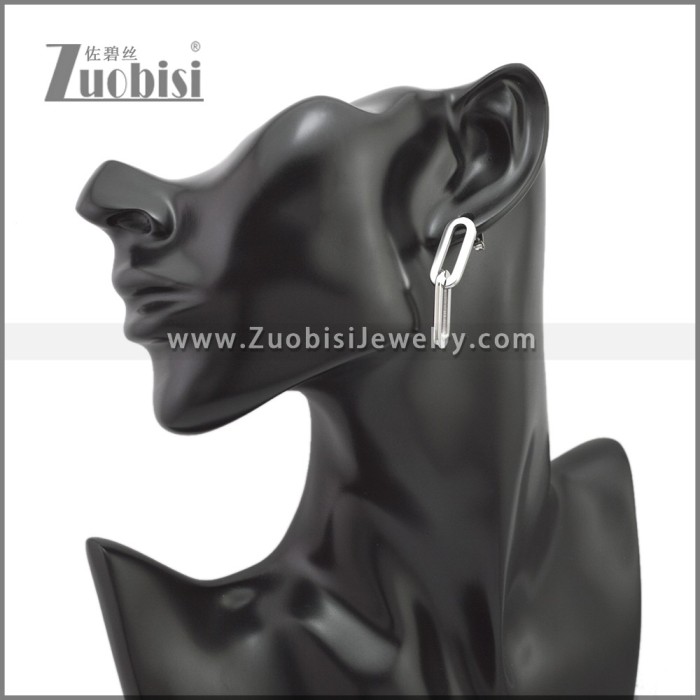 Stainless Steel Earring e002241S