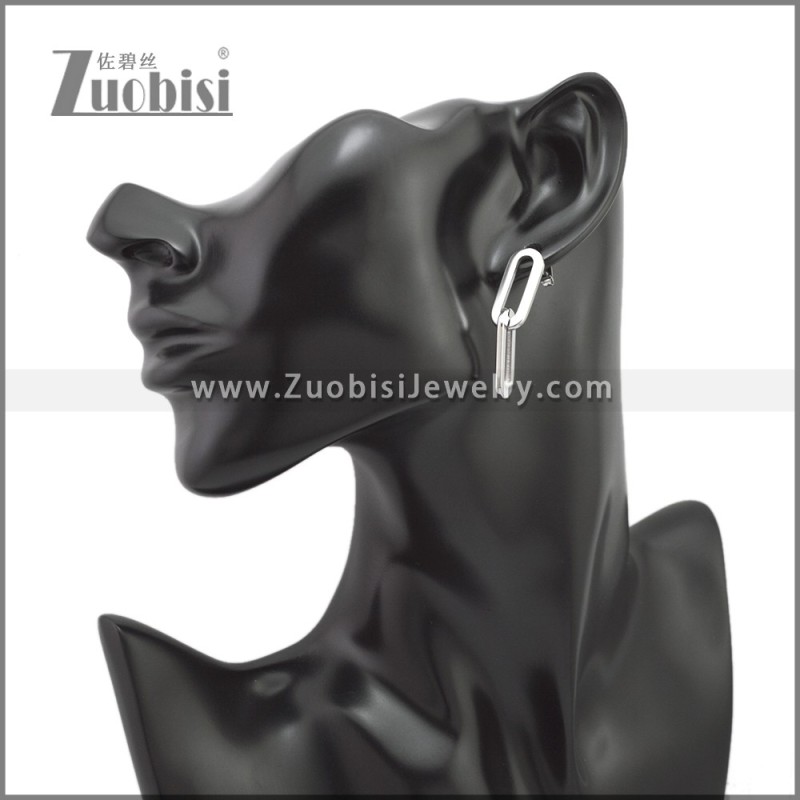 Stainless Steel Earring e002241S