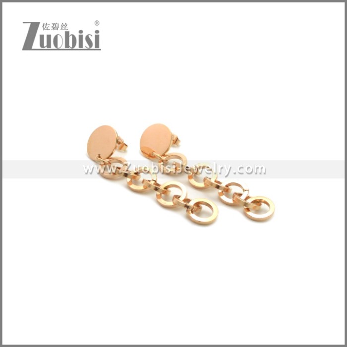 Stainless Steel Earring e002242R
