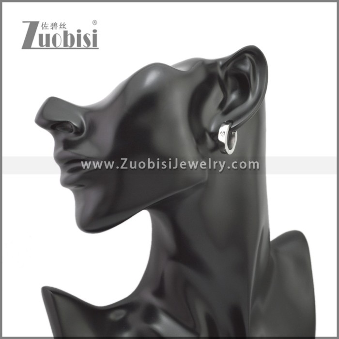 Stainless Steel Earring e002244S