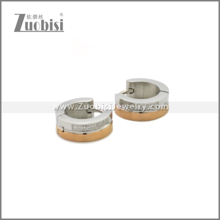 Stainless Steel Earring e002247SR