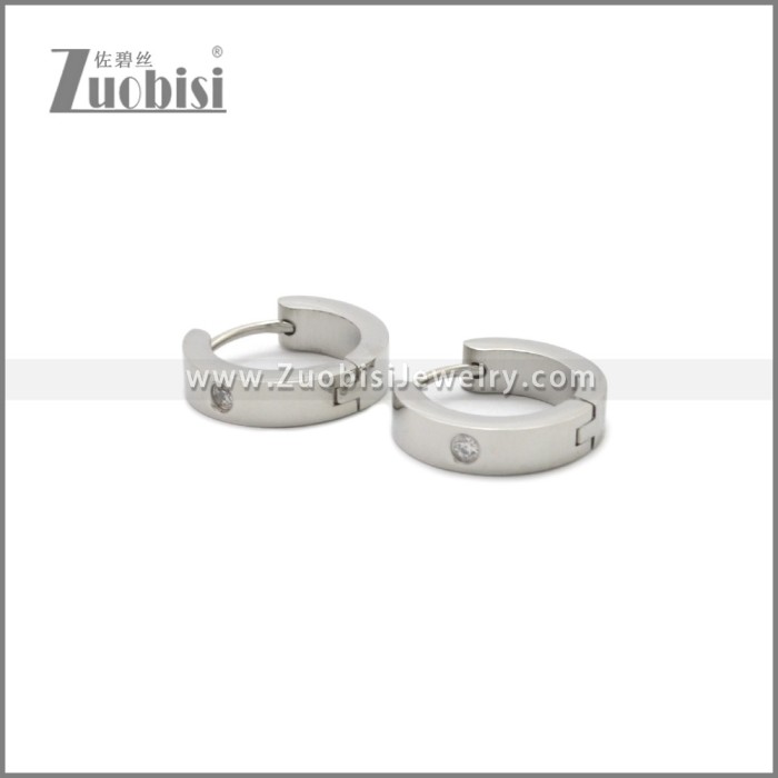 Stainless Steel Earring e002244S