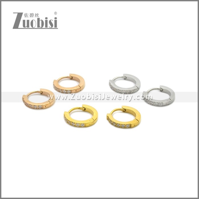 Stainless Steel Earring e002245G