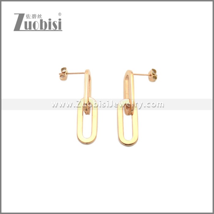 Stainless Steel Earring e002241R
