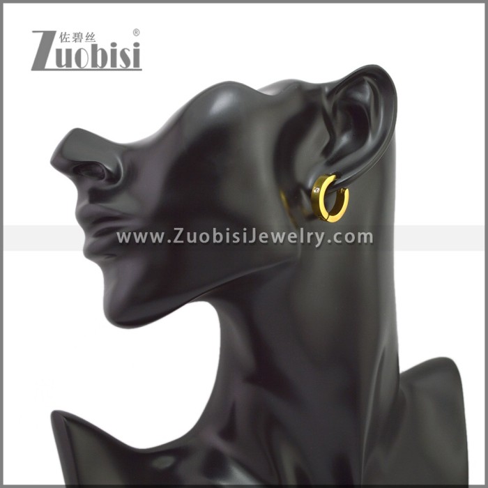 Stainless Steel Earring e002244G