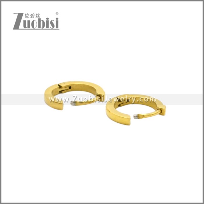 Stainless Steel Earring e002245G