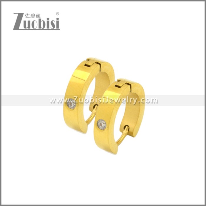 Stainless Steel Earring e002244G