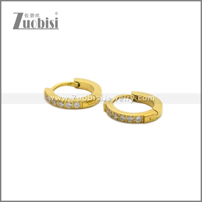 Stainless Steel Earring e002245G