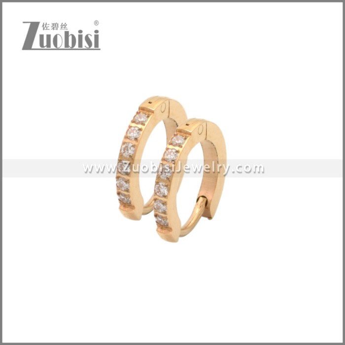 Stainless Steel Earring e002245R