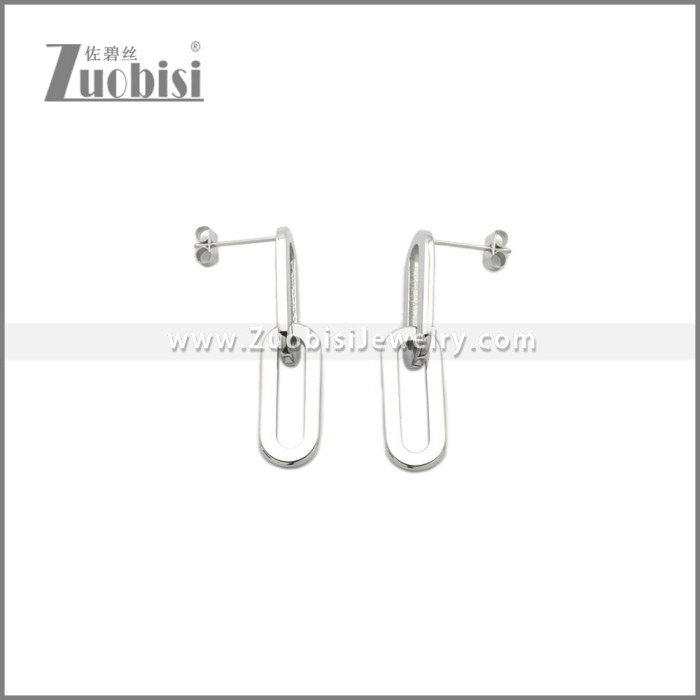 Stainless Steel Earring e002241S
