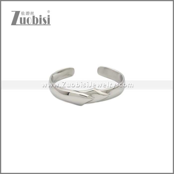 Stainless Steel Bangles b010193S