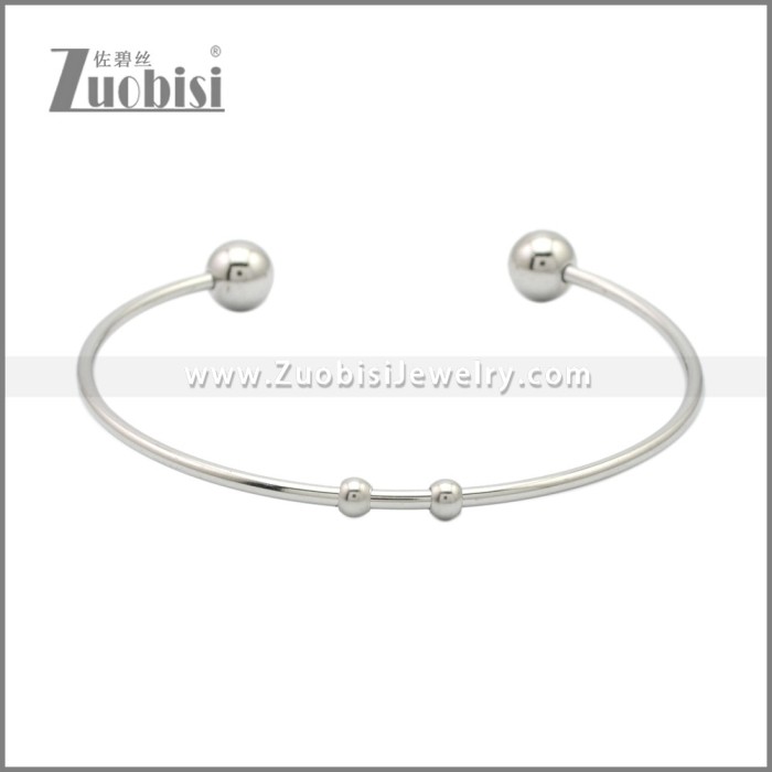 Stainless Steel Bangles b010212S