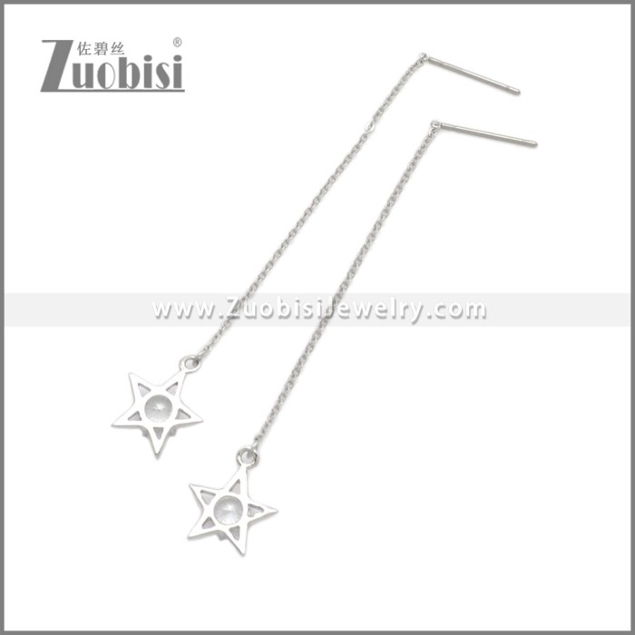 Stainless Steel Earrings e002259S