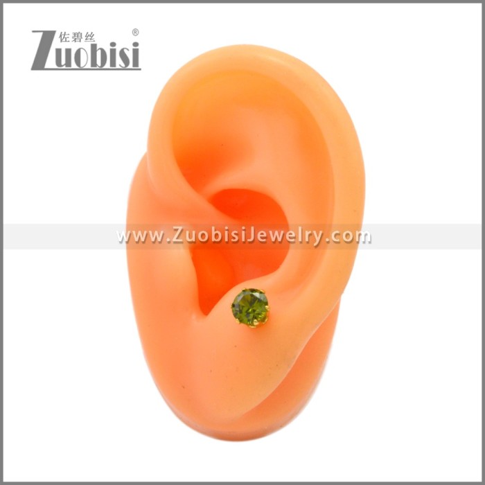Stainless Steel Earrings e002262G2