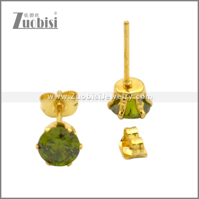 Stainless Steel Earrings e002262G2