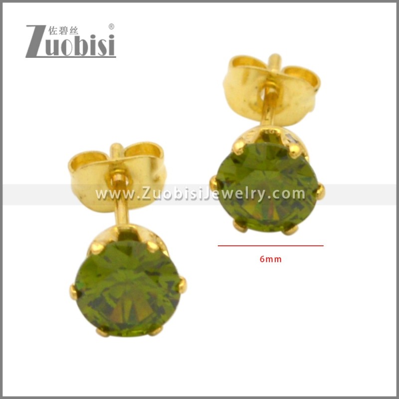 Stainless Steel Earrings e002262G2