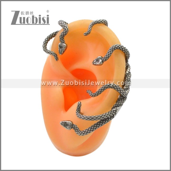 Stainless Steel Earrings e002279SA