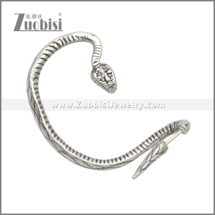 Stainless Steel Earrings e002276SA