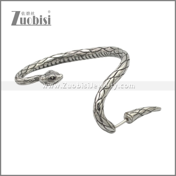 Stainless Steel Earrings e002276SA