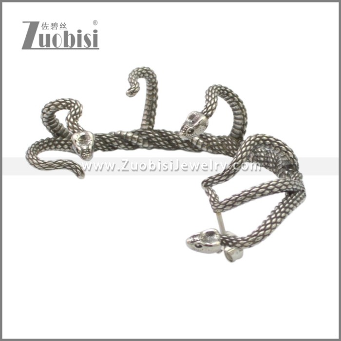 Stainless Steel Earrings e002279SA