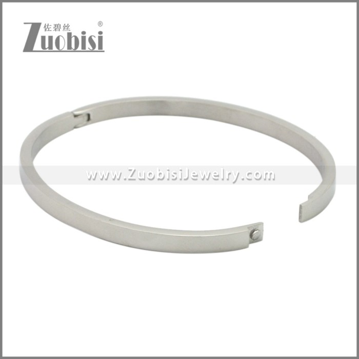 Stainless Steel Bangles b010350S