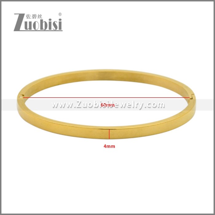 Stainless Steel Bangles b010350G