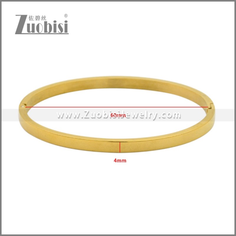 Stainless Steel Bangles b010350G