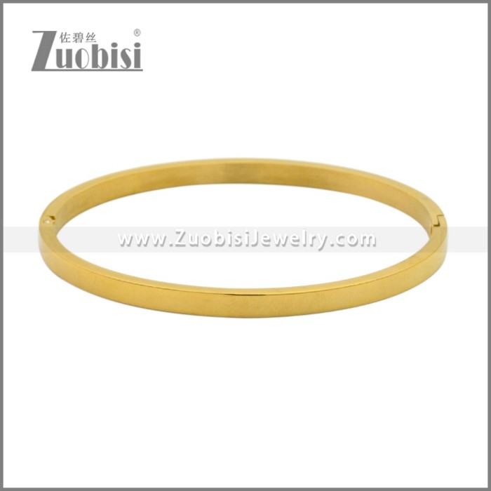 Stainless Steel Bangles b010350G