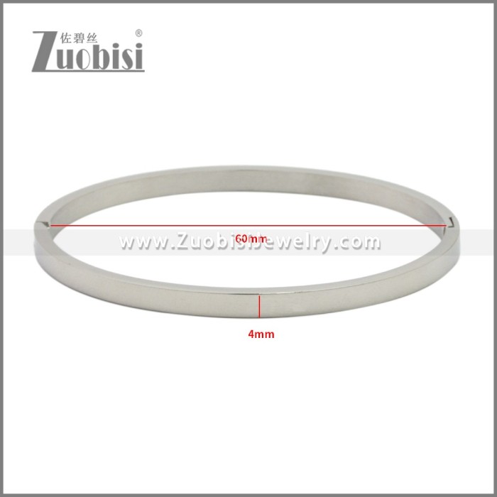 Stainless Steel Bangles b010350S