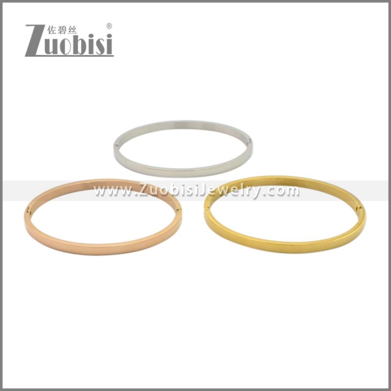 Stainless Steel Bangles b010350S