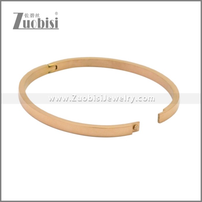 Stainless Steel Bangles b010350R