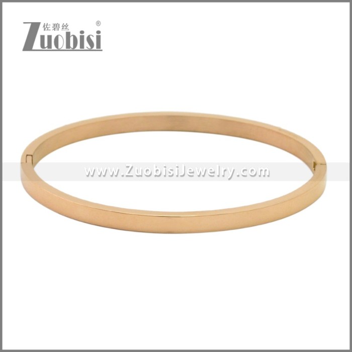 Stainless Steel Bangles b010350R