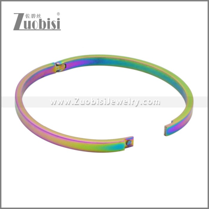 Stainless Steel Bangles b010348C