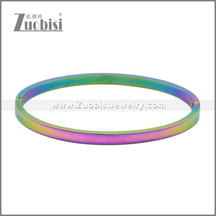 Stainless Steel Bangles b010348C