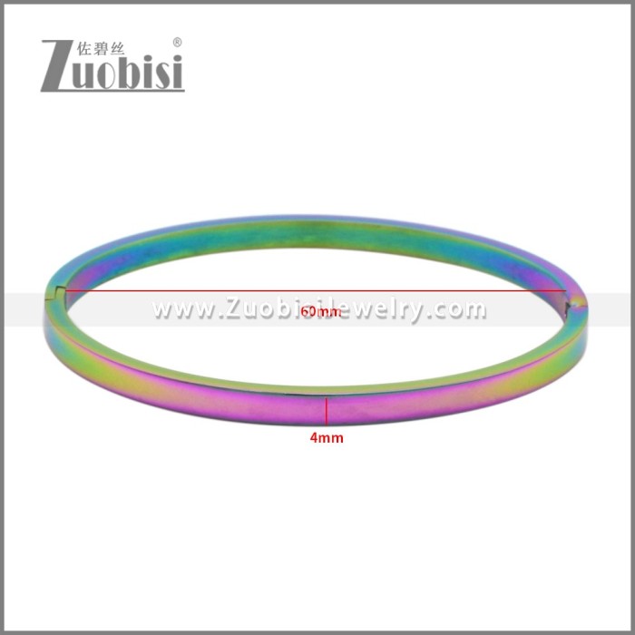 Stainless Steel Bangles b010348C