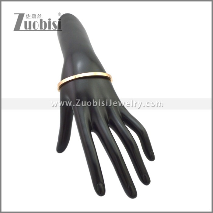 Stainless Steel Bangles b010350R