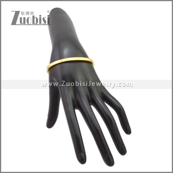 Stainless Steel Bangles b010350G