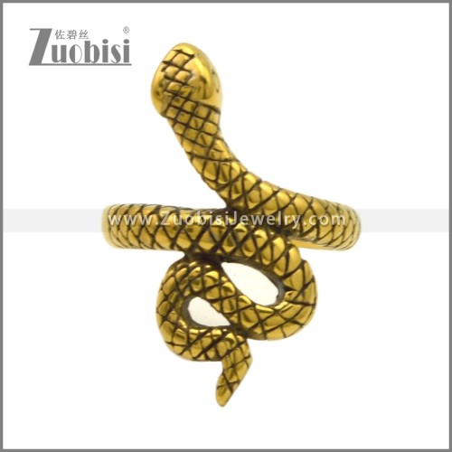 Stainless Steel Ring r009540GH