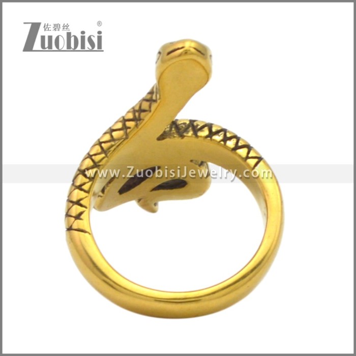 Stainless Steel Ring r009540GH