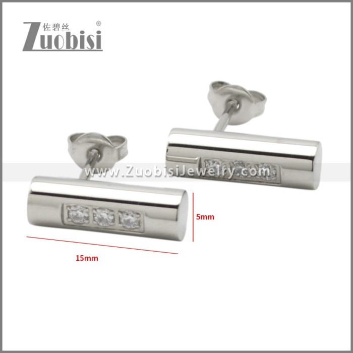 Stainless Steel Earring e002284S