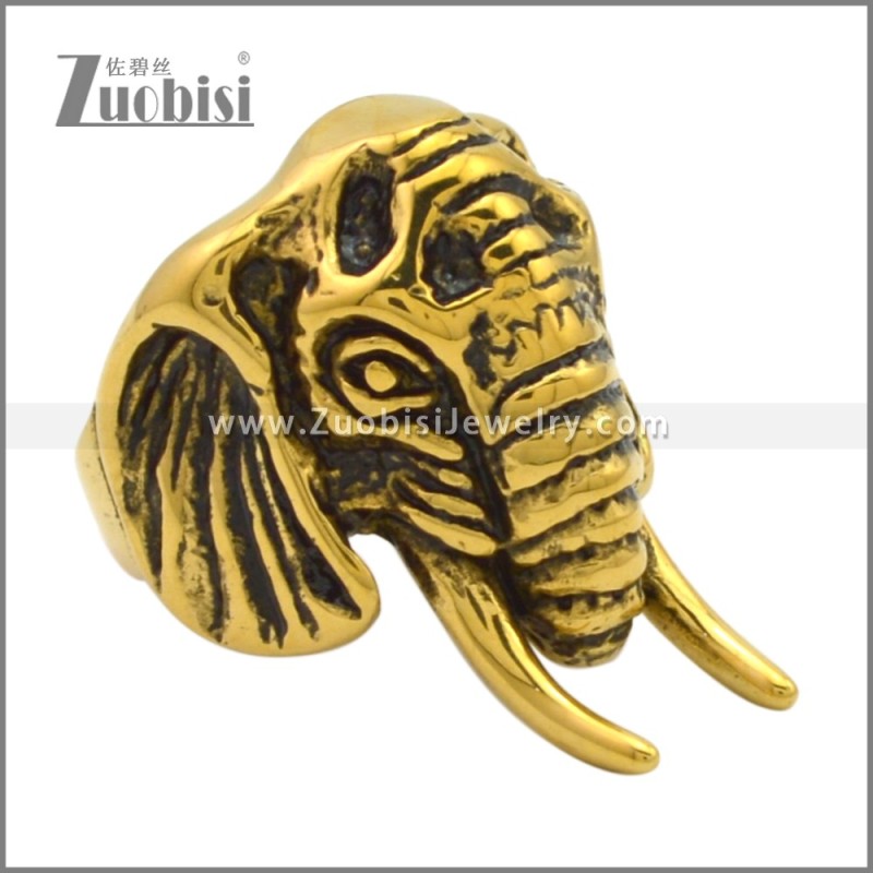 Stainless Steel Ring r009537G