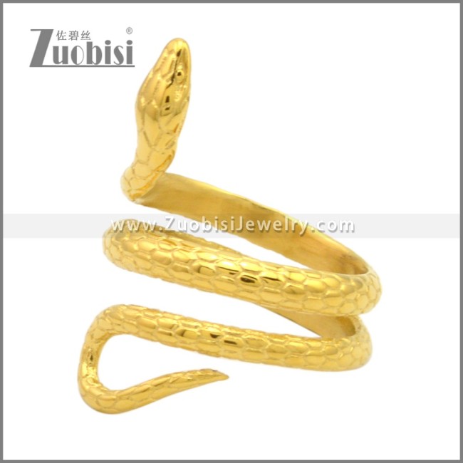 Stainless Steel Ring r009560G