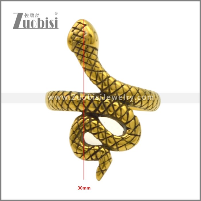 Stainless Steel Ring r009540GH